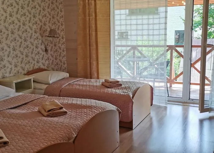 Gile In Center * Druskininkai